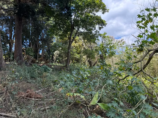 Terreno en venta en Fraijanes para desarrollo - Imagen 3