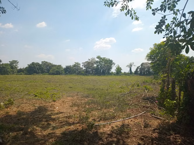 Venta de 7 manzanas de terreno en Masagua, completamente planos