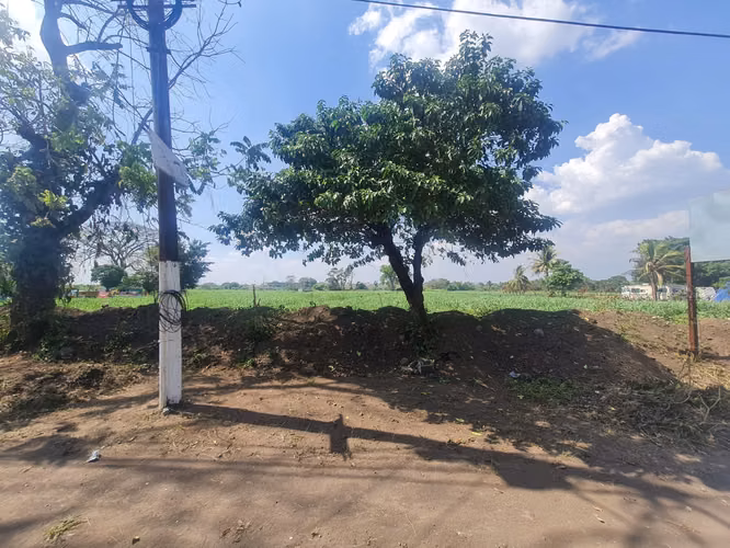 Venta de 15 manzanas de terreno en Masagua, completamente planos