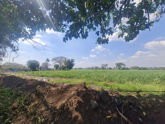 Venta de 15 manzanas de terreno en Masagua, completamente planos