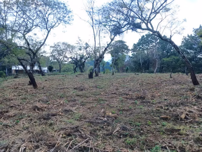 TERRENO EN VENTA EN FRAIJANES
