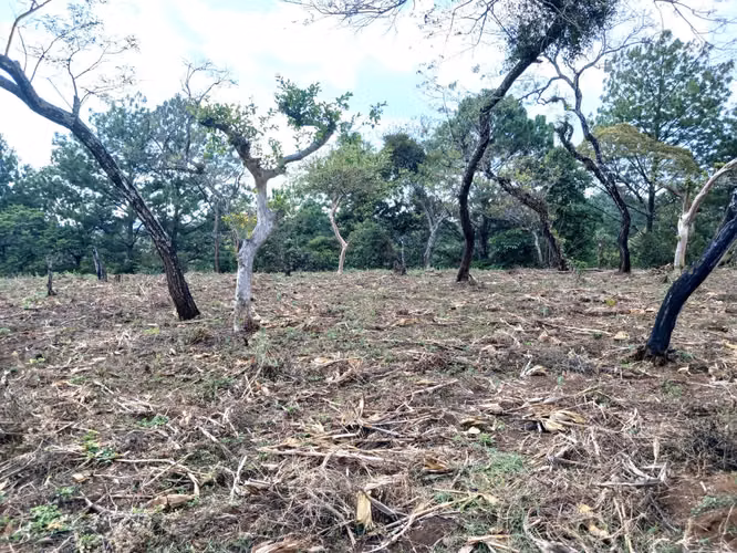 TERRENO EN VENTA EN FRAIJANES