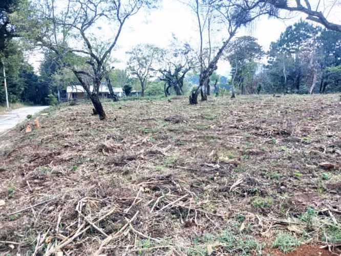 TERRENO EN VENTA EN FRAIJANES