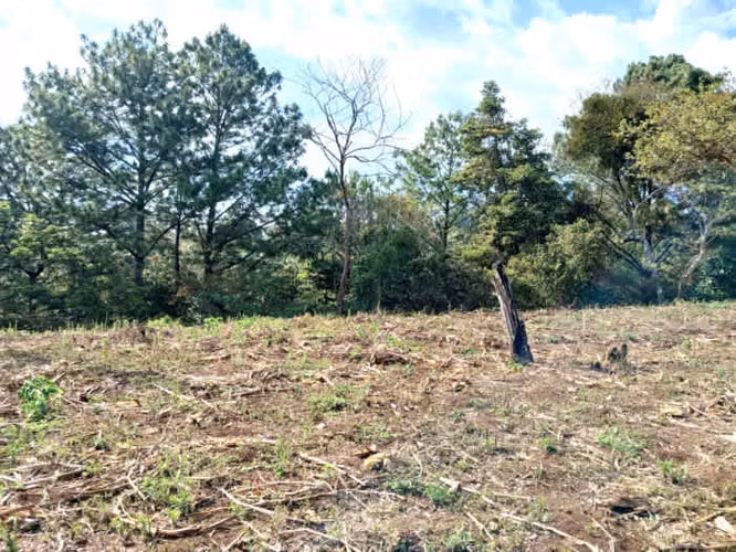 TERRENO EN VENTA EN FRAIJANES