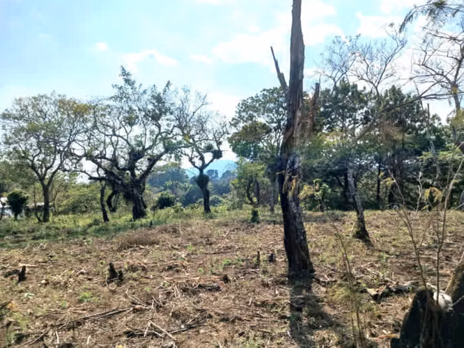 TERRENO EN VENTA EN FRAIJANES