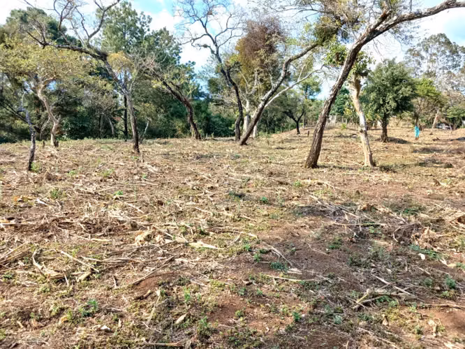 TERRENO EN VENTA EN FRAIJANES
