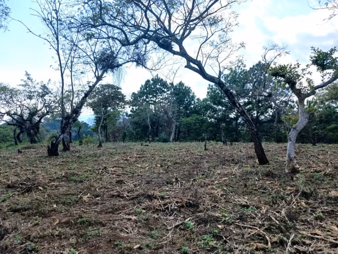 TERRENO EN VENTA EN FRAIJANES