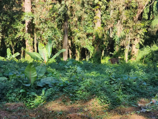 Terreno en Venta- Santa Catarina Pinula - Imagen 5