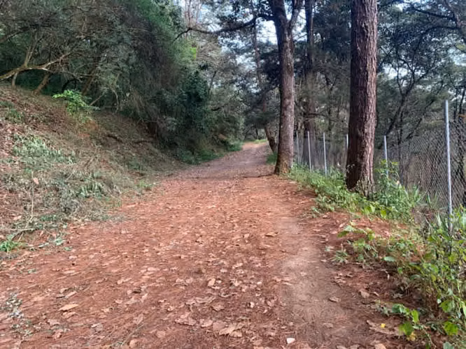 TERRENO RESIDENCIAL EN VENTA EN ZONA 7