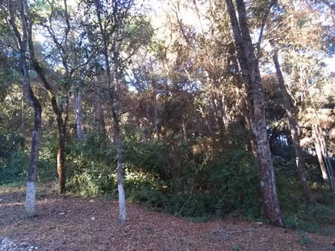 Terreno en Venta en Praderas del Bambú 2 San Raymundo - Imagen 4