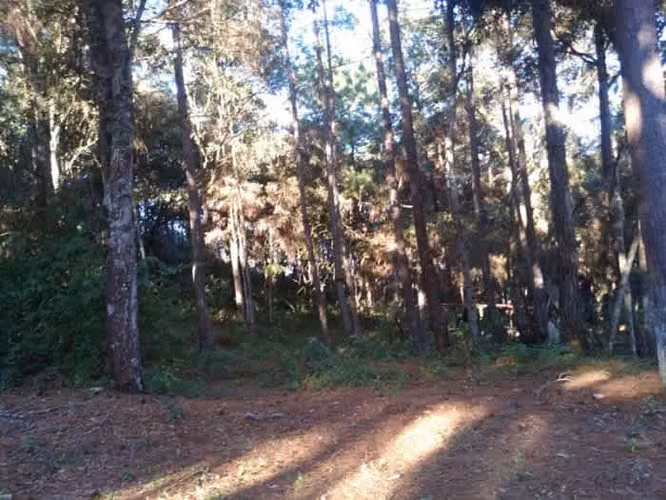 Terreno en Venta en Praderas del Bambú 2 San Raymundo - Imagen 3