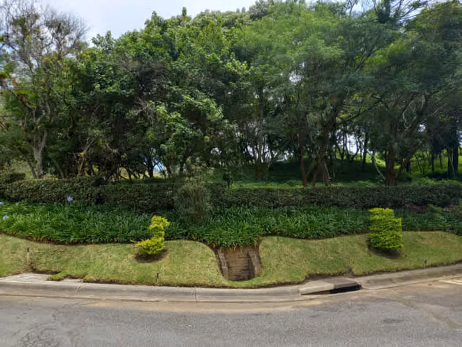 Terreno en Venta KM. 10.5 Carretera el Salvador - Imagen 9