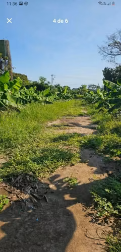 Vendo Terreno Grande Tecún Umán San Marcos Extensión 20,120M2 - Imagen 4