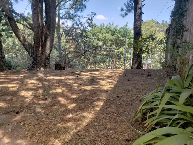 Terreno en La Montaña de 1,200 vrs2 - Imagen 3