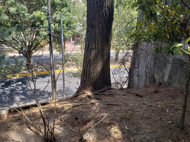 Terreno en La Montaña de 1,200 vrs2 - Imagen 2
