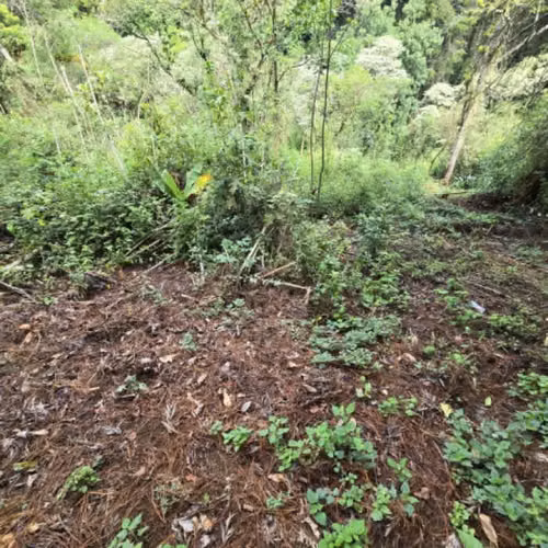 Terreno Residencial en Venta Carretera a El Salvador - Imagen 5