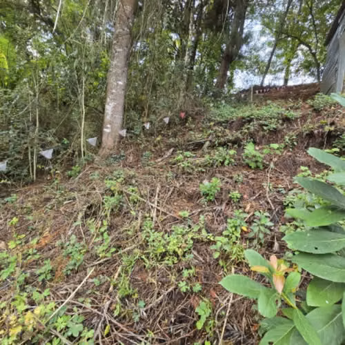 Terreno Residencial en Venta Carretera a El Salvador - Imagen 8