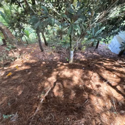 Lote en Venta Carretera a El Salvador Res. San Antonio - Imagen 9