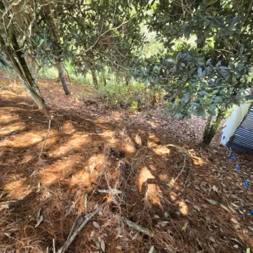 Lote en Venta Carretera a El Salvador Res. San Antonio - Imagen 6