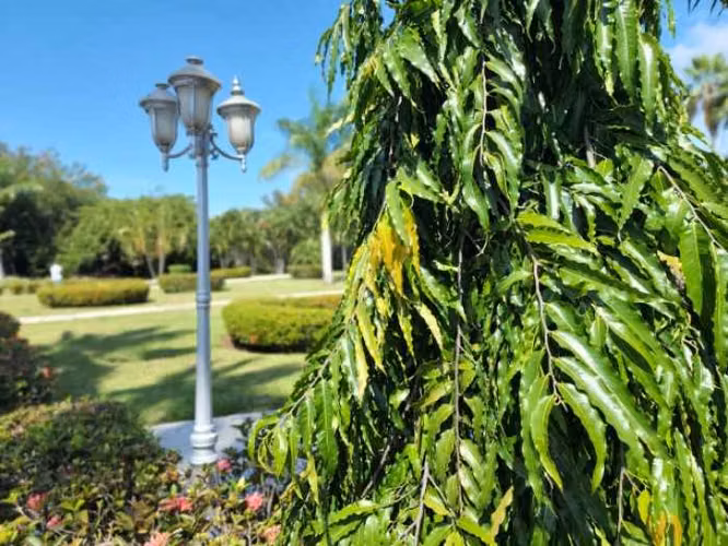 Terreno en Venta Lagunas de Torremolinos, Escuintla