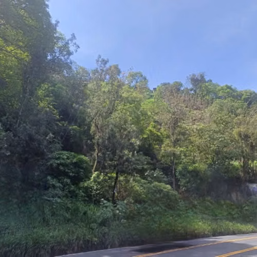 Terreno Comercial sobre Carretera Hacia Boca del Monte