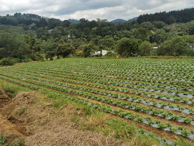 Venta de Terreno Rustico en Sacatepéquez