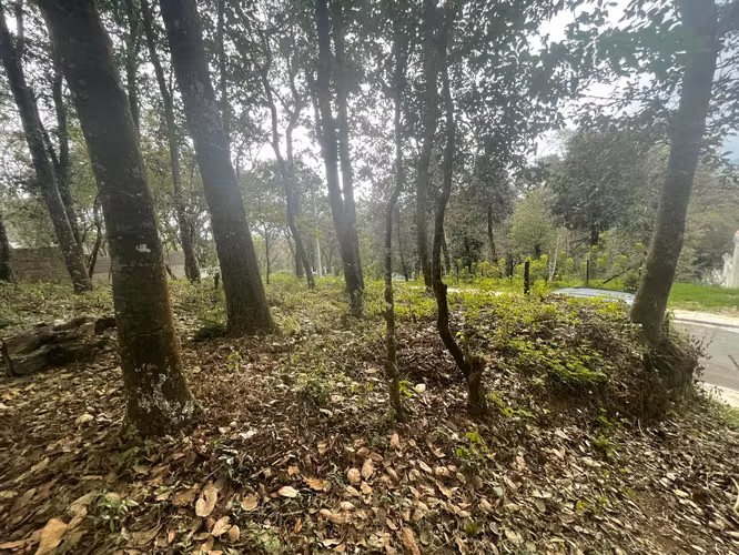 TERRENO EN VENTA EN SAN LUCAS, SACATEPEQUEZ KM 25.5 - Imagen 2