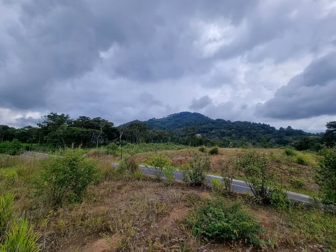 TERRENOS EN VENTA EL PULTÉ GOLF ZONA 16 - Imagen 5
