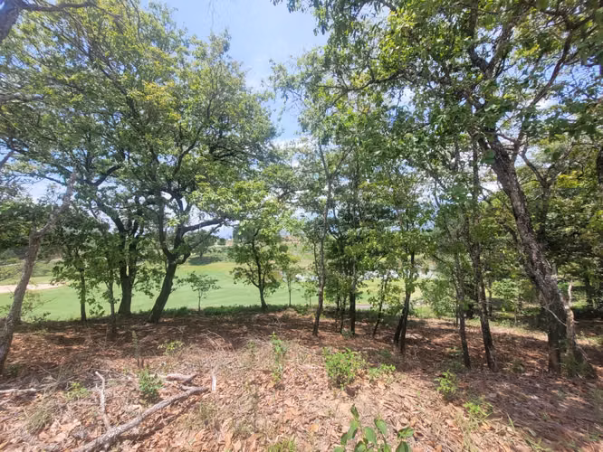 TERRENOS EN VENTA EL PULTÉ GOLF ZONA 16 - Imagen 15