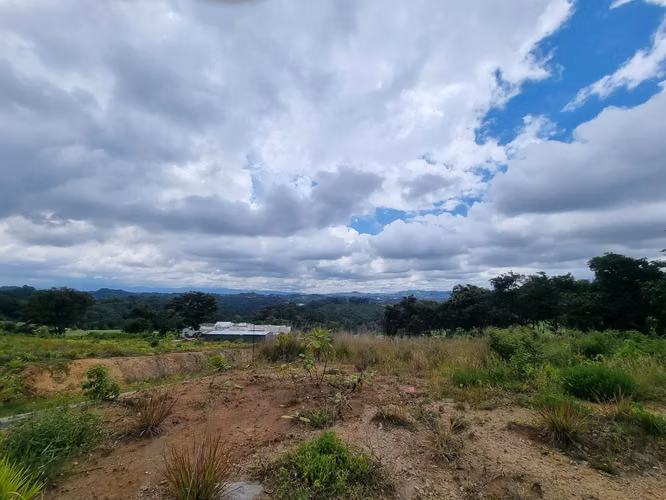 TERRENOS EN VENTA EL PULTÉ GOLF ZONA 16 - Imagen 9