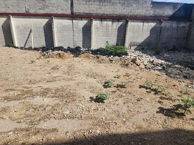 ALQUILO TERRENO EN ZONA 1 DE MIXCO SOBRE LA MATEO FLORES - Imagen 4