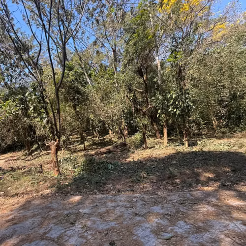 Lote en Venta RioSul, Escuintla, Guatemala