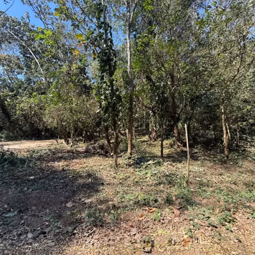 Lote en Venta RioSul, Escuintla, Guatemala