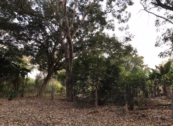 Terreno en Nueva Concepcion, Escuintla. Ideal para desarrollo.