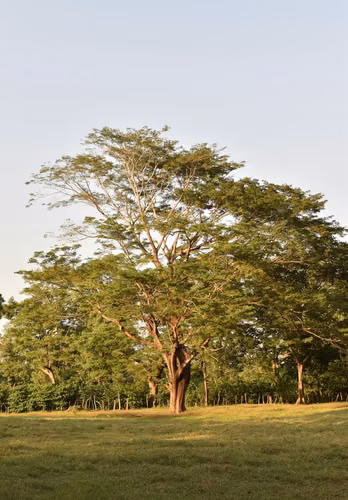 Terreno en Nueva Concepcion, Escuintla. Ideal para desarrollo.