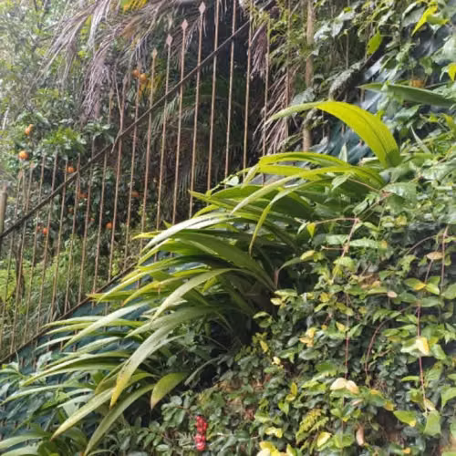 Terreno en Venta Zona 16 La Montaña