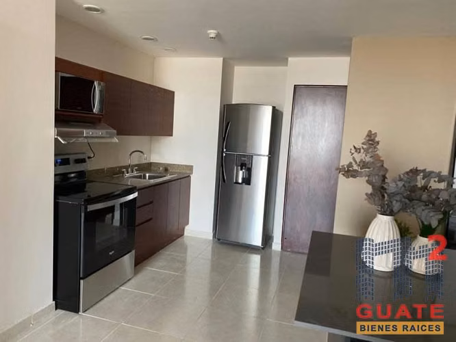 Alquilo Apartamento en Zona 14 - Imagen 17