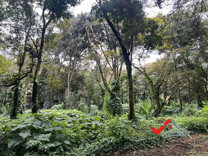 TERRENO EN VENTA EN RESIDENCIAL PREMIER CAMPESTRE KM 22.5 CAES - Imagen 4