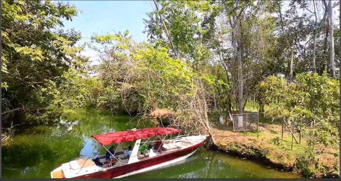 TERRENO EN VENTA EN RIO DULCE
