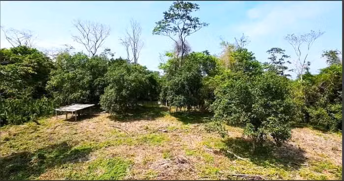 TERRENO EN VENTA EN RIO DULCE