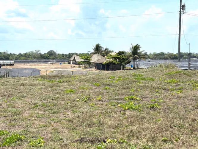 Terreno en Venta Frente al Mar en Sipacate, Escuintla