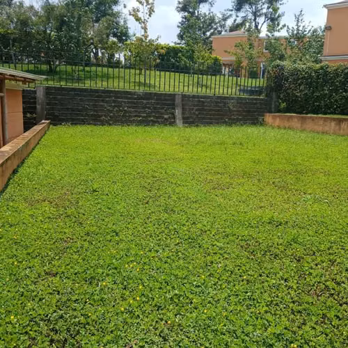 TERRENO EN VENTA EN SAN MARTIN DE ALLENDE - CES