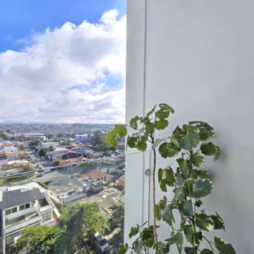 Apartamento en Venta Villa Mariscal Zona 11 Guatemala - Imagen 5