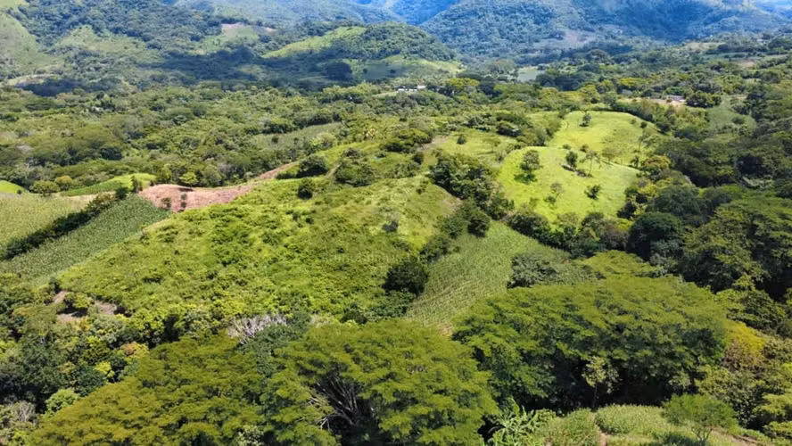  Terreno en Venta en Villa Canales, ¡Oportunidad de Inversión! 