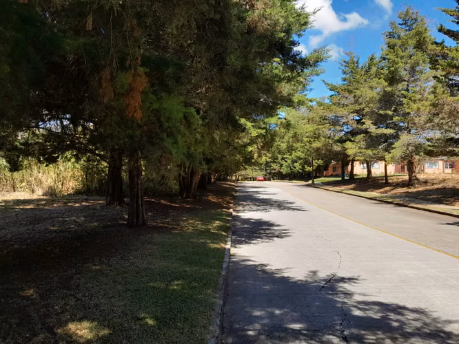 TERRENO EN VENTA – CASA Y CAMPO, KM 23.5 CARRETERA A EL SALVADOR - Imagen 3