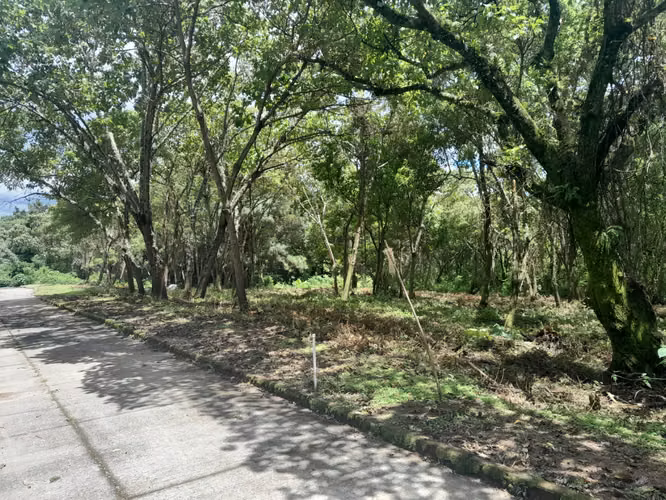 TERRENO EN VENTA – CASA Y CAMPO, KM 23.5 CARRETERA A EL SALVADOR - Imagen 2