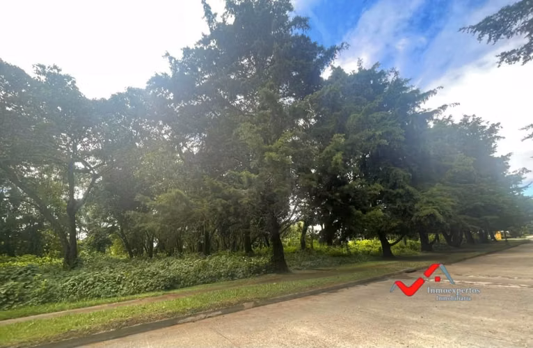 TERRENO EN VENTA – CASA Y CAMPO, KM 23.5 CARRETERA A EL SALVADOR - Imagen 4