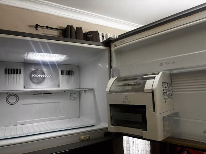 LINDA REFRIGERADORA LG DE 20' (grande)