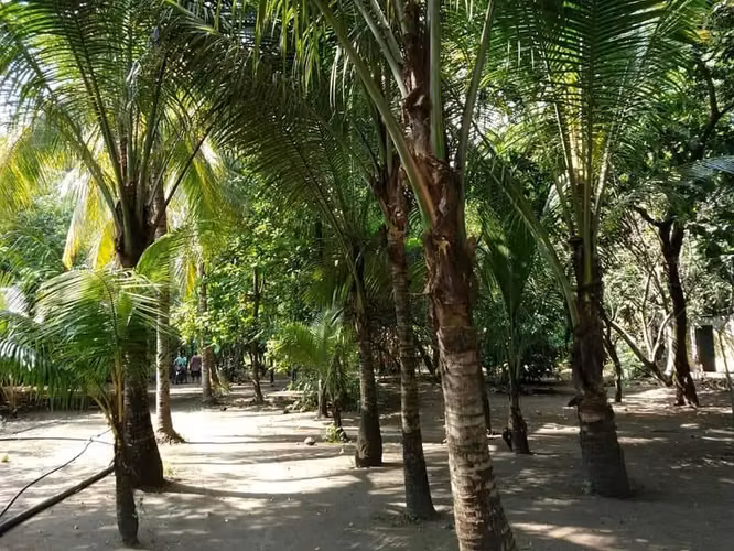 Terreno Comercial en Masagua Escuintla ideal para diferentes tipos de negocios