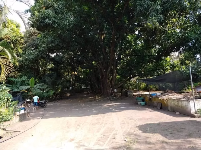 Terreno Comercial en Masagua Escuintla ideal para diferentes tipos de negocios